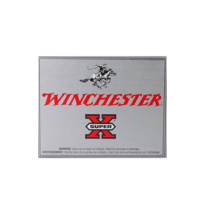 Winchester 20 Hollow Point