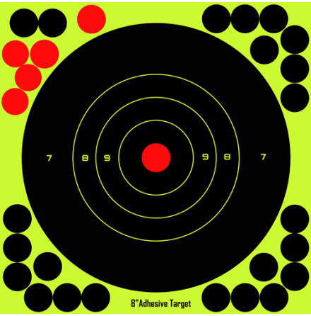 Fritzmann 20 Targets with Hit Indication